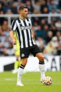 NEWCASTLE - BRENTFORD