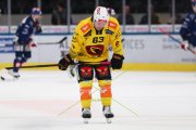 ZSC - BERN
