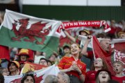 FRANKREICH - WALES
