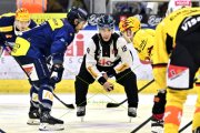 AMBRI - BERN