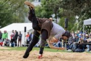 BASELSTAEDTISCHER SCHWINGERTAG