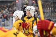 AMBRI - TIGERS