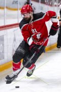 LAUSANNE - TIGERS