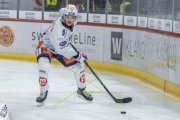 TIGERS - ZSC