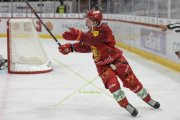 TIGERS - ZSC
