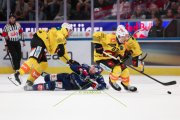 ZSC - BERN