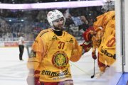AMBRI - TIGERS