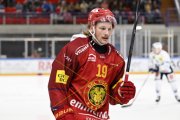 AMBRI - TIGERS