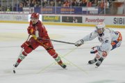 TIGERS - ZSC