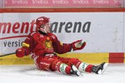 TIGERS - LUGANO