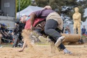 SOLOTHURNER KANTONAL SCHWINGFEST