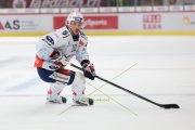 TIGERS - ZSC