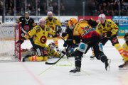 FRIBOURG - BERN