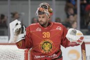 TIGERS - AMBRI
