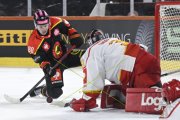 BERN - MOUNTFIELD