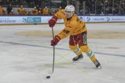 ZUG - TIGERS