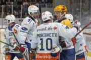TIGERS - ZSC