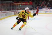 TIGERS - BERN