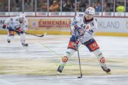 TIGERS - ZSC