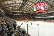 TIGERS - FRIBOURG
