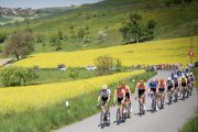 TOUR DE ROMANDIE 2026