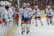 TIGERS - ZSC