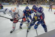 DAVOS - ZSC