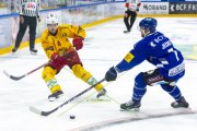 FRIBOURG - TIGERS