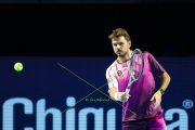 SWISS INDOORS 2025