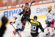 BERN - ZSC