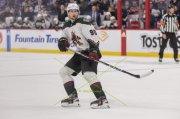 WINNIPEG - ARIZONA