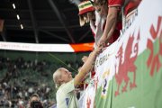 FRANKREICH - WALES