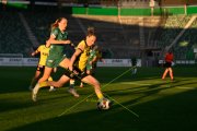 ST.GALLEN - YB