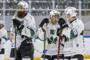 GCK LIONS - OLTEN