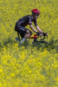 TOUR DE ROMANDIE 2026
