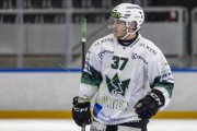 GCK LIONS - OLTEN