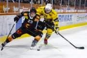 SCB - AJOIE