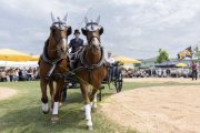 SOLOTHURNER KANTONAL SCHWINGFEST