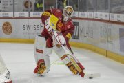 TIGERS - ZSC