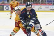 AMBRI - TIGERS