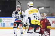 AMBRI - TIGERS