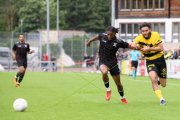 YB - XAMAX