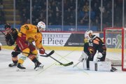BERN - TIGERS