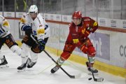 TIGERS - FRIBOURG