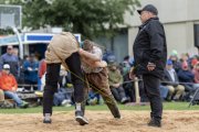 BASELSTAEDTISCHER SCHWINGERTAG