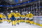 ZSC - DAVOS