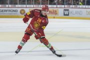 TIGERS - ZSC