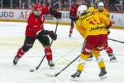 LAUSANNE - TIGERS