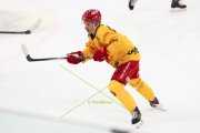 TRAINING LANGNAU