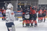 BASEL - HCC